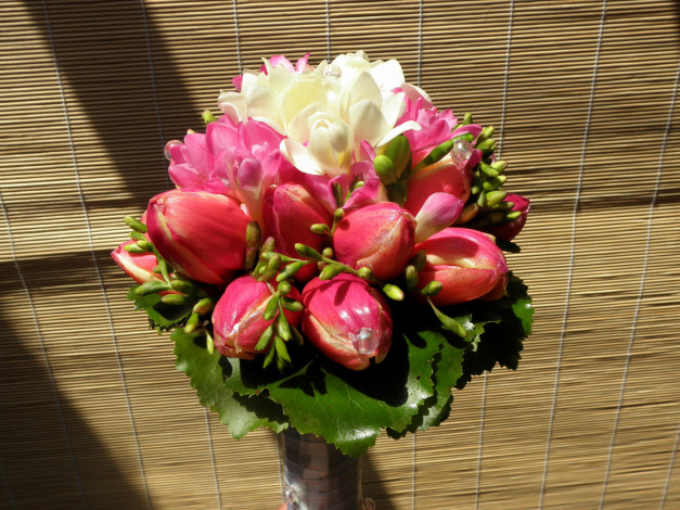 Обои картинки фото цветы, тюльпаны, букет