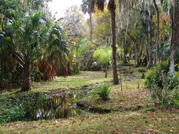 Обои картинки фото флорида, Ялаха, природа, парк, ботанический, сад