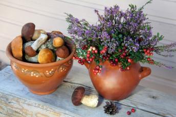 Картинка еда грибы грибные блюда вереск боровики брусника