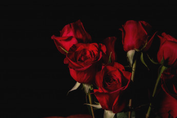 Картинка цветы розы букет