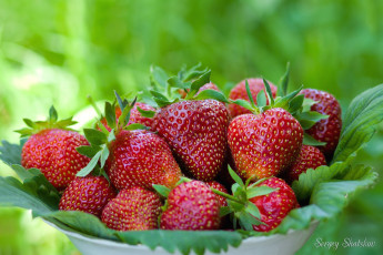 Картинка еда клубника земляника ягоды