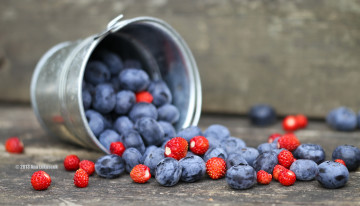 Картинка еда фрукты ягоды ведерко голубика земляника