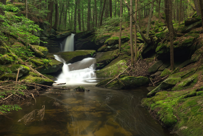 Обои картинки фото природа, реки, озера, лес, вода