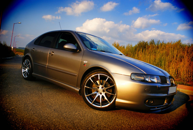 Обои картинки фото автомобили, seat, leon