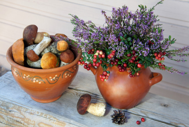 Обои картинки фото еда, грибы, грибные, блюда, вереск, боровики, брусника