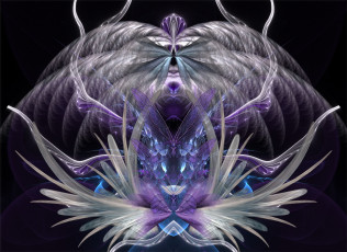 Картинка 3д+графика фракталы+ fractal узор фон цвета