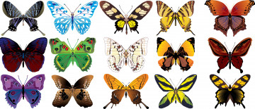 Картинка векторная+графика животные фон бабочки