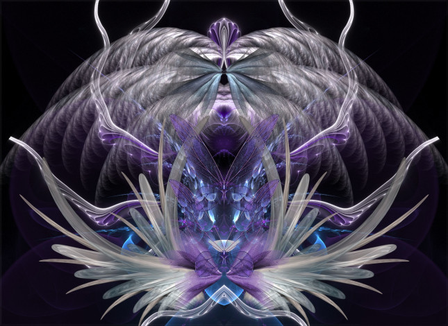 Обои картинки фото 3д графика, фракталы , fractal, узор, фон, цвета