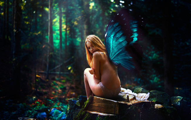 Обои картинки фото фэнтези, фотоарт, крылья