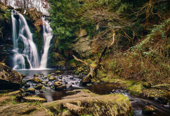 Картинка природа водопады лес река водопад