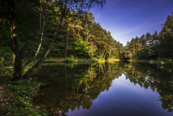 Картинка природа реки озера лес река