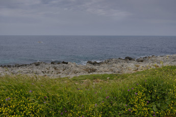 Картинка природа побережье море берег