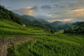 Картинка природа поля поле горы