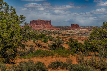 Картинка природа пустыни растительность скалы равнина