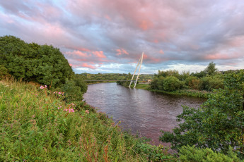 Картинка природа реки озера лес река