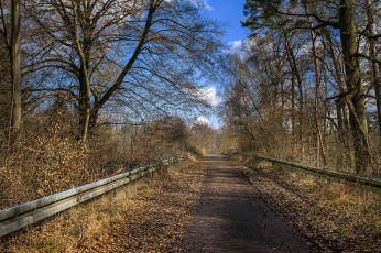 Картинка природа дороги осень лес тракт