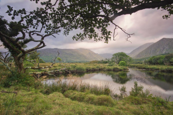 Картинка природа реки озера лес река