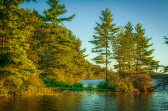 Картинка природа реки озера река лес