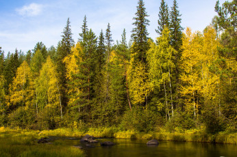 Картинка природа реки озера река лес