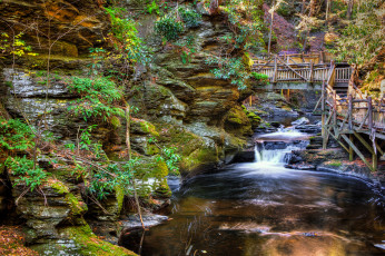 Картинка природа водопады лес река водопад