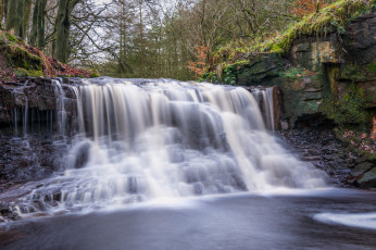 Картинка природа водопады лес водопад река