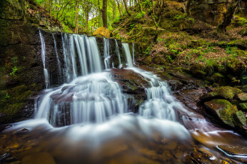 Картинка природа водопады лес водопад река