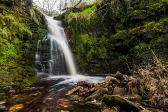 Картинка природа водопады река лес водопад