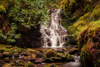 Картинка природа водопады река лес водопад