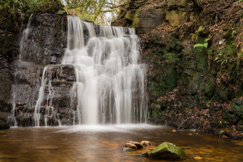 Картинка природа водопады водопад лес река