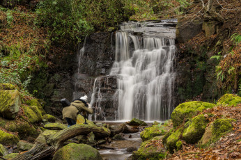 Картинка природа водопады водопад река лес