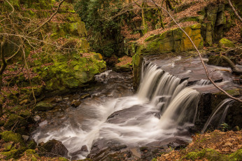 Картинка природа водопады водопад река лес