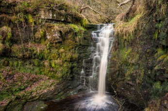Картинка природа водопады водопад река лес
