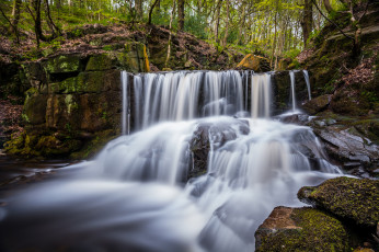 Картинка природа водопады водопад река лес