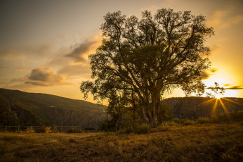 Картинка природа восходы закаты утро рассвет