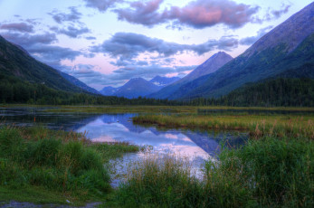 Картинка природа реки озера лес река