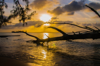 Картинка природа восходы закаты закат