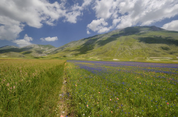 Картинка природа луга луг горы