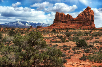 Картинка природа пустыни скалы равнина растительность