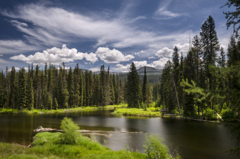 Картинка природа реки озера горы лес река