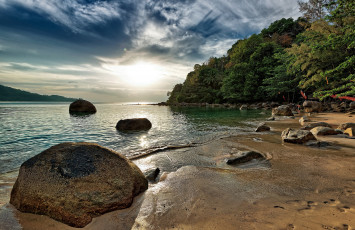 Картинка природа тропики пляж лес