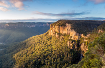 Картинка природа горы скала лес