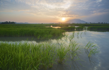 Картинка природа восходы закаты рассвет