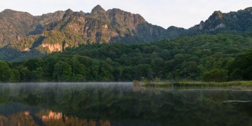 Картинка природа реки озера лес туман утро озеро