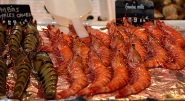 Картинка еда рыба +морепродукты +суши +роллы креветки