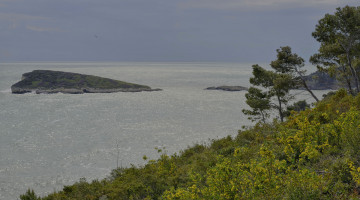 Картинка природа побережье пейзаж небо