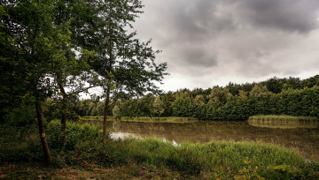 Картинка природа реки озера лес река