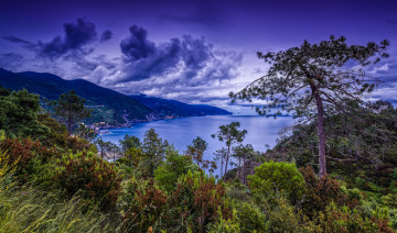 Картинка природа побережье панорама бухта