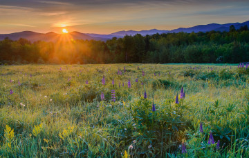 Картинка природа восходы закаты рассвет