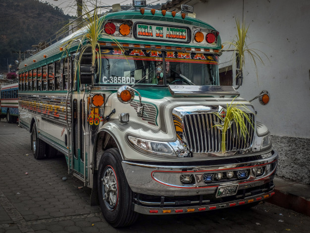 Обои картинки фото автомобили, автобусы, транспорт, пассажирский