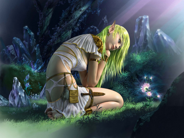 Обои картинки фото 3д графика, эльфы , elves, девушка, эльф, фон, нож